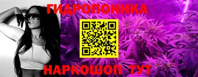 прущая мука Гатчина