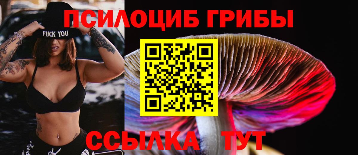 Псилоцибиновые грибы мухоморы Майкоп